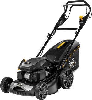 TEXAS Benzinrasenmäher Razor 4651TR/WE